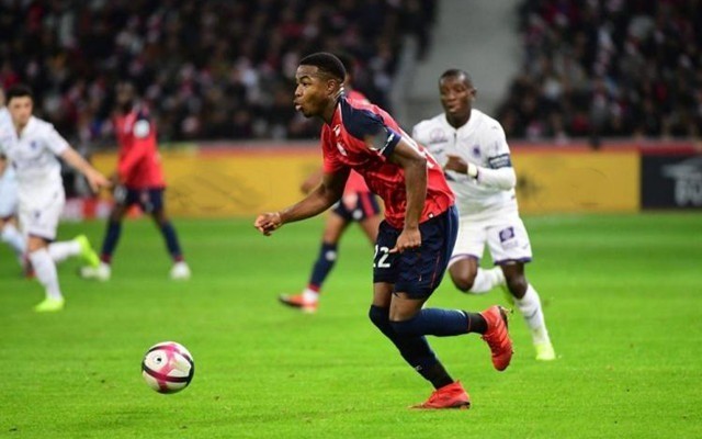 输送年轻球 输送年轻球